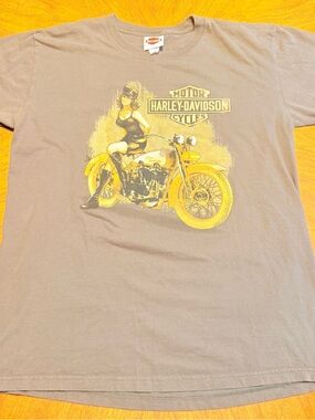 Harley-Davidson Open Road Fond du Lac WI Graphic T-Shirt Men’s XL Gray
